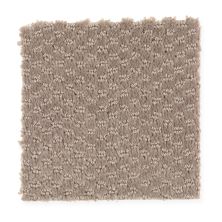 Mohawk Everstrand Dynamo Taupe Treasure 2F24-859
