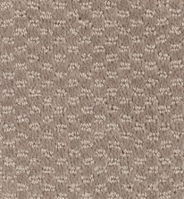 Mohawk Seven Springs Taupe Treasure 2F28-859