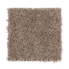 Mohawk Smartstrand Natural Decoration Party Mix 2G47-748