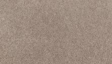 Mohawk Smartstrand Natural Decoration Orion 2G47-749
