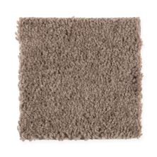 Mohawk Smartstrand Natural Decoration Dried Peat 2G47-858