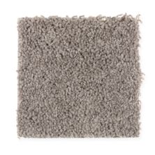Mohawk Smartstrand Natural Decoration Tawny Taupe 2G47-869
