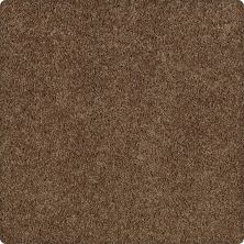 Karastan Smartstrand Redford Heights Raw Sienna 2J38-9898