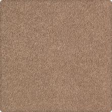 Karastan Kashmere Soothing Obsession Tempting Taupe 2K75-9839