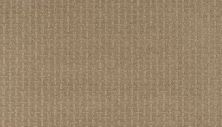 Mohawk Smartstrand Timeless Form Champagne Glee 2L59-756