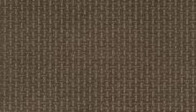 Mohawk Smartstrand Lasting Appearance Havanna 2L61-766