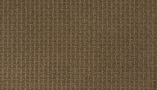 Mohawk Smartstrand Lasting Appearance Hawaiian Tan 2L61-781