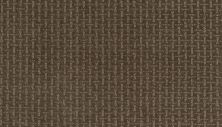 Mohawk Smartstrand Lasting Appearance Mesquite 2L61-849
