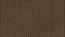 Mohawk Smartstrand Lasting Appearance Bercamont 2L61-855