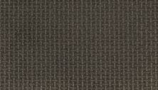 Mohawk Smartstrand Lasting Appearance Universal Umber 2L61-869