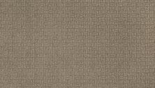 Mohawk Smartstrand Flawless Vision Taupe Shadow 2L64-829