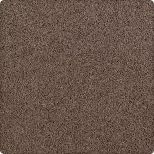 Karastan Lavish Affair Brindle 2M05-9875