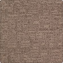 Karastan Heightened Glamour Dark Taupe 2M16-9799