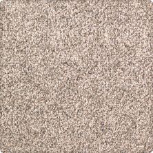 Karastan Smartstrand Pure Distinction Softened Ash 2M82-9726