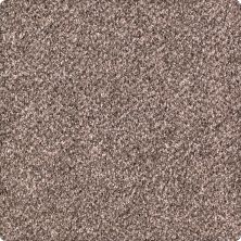 Karastan Smartstrand Pure Distinction Mineral Brown 2M82-9789