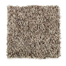 Mohawk Everstrand Soft Appeal Softly Elegant II Dried Peat 2M95-859