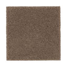 Mohawk Smartstrand Silk Nature’s Charm I Rich Earth 2N32-516