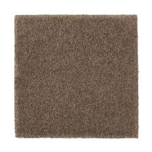 Mohawk Nature’s Charm II Nutmeg 2N33-512