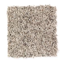 Mohawk Everstrand Soft Appeal Soft Sensations I Warm Stone 2N52-829