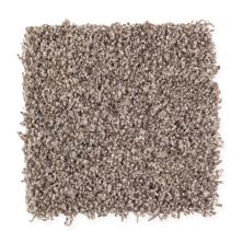 Mohawk Everstrand Soft Appeal Soft Sensations I Antique Earth 2N52-868