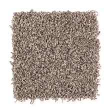 Mohawk Everstrand Soft Appeal Soft Impressions II Antique Earth 2N57-868