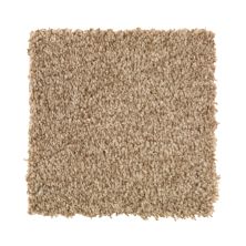 Mohawk Everstrand Tonal Chic I Wild Cattail 2N80-846