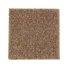 Mohawk Smartstrand Silk Native Allure I Cat-Tail 2N95-508
