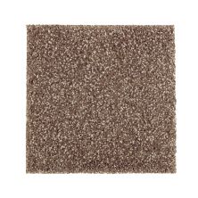 Mohawk Smartstrand Silk Native Allure I Dried Peat 2N95-524