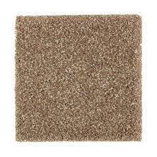 Mohawk Smartstrand Silk Native Allure II Rich Earth 2N96-516