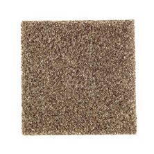 Mohawk Smartstrand Silk Organic Attractionii Dried Sage 2P15-547