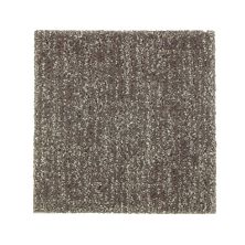 Mohawk Smartstrand Silk Carefree Nature Wrought Iron 2P37-532