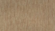 Mohawk Enchanting Regard Maple Tint 2R28-503