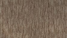 Mohawk Enchanting Regard Cat-Tail 2R28-508