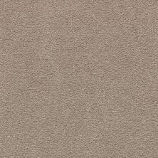 Mohawk Smartstrand Homefront I Pecan Bark 2R31-858