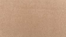 Mohawk Smartstrand Creative Factor III Spiced Tea 2R39-864