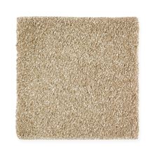 Mohawk Smartstrand Silk Luxurious Array Timeless 2S20-531