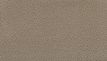 Mohawk Luxurious Decor Forest Twilight 2S40-504