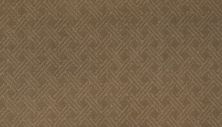 Mohawk Smartstrand Silk Luxurious Escape Clay Trail 2S45-524