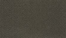 Mohawk Chic Charm Shadow 2S50-513