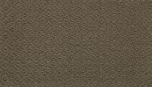 Mohawk Chic Charm Dust Bowl 2S50-514