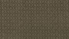 Mohawk Chic Charm Bison 2S50-521