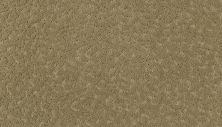 Mohawk Smartstrand Exceptional Beauty Rococo Beige 2S58-517