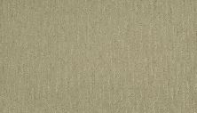 Mohawk Smartstrand Splendid Character Alpaca 2S75-506
