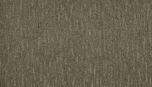 Mohawk Smartstrand Splendid Character Lite Expresso 2S75-522
