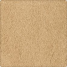 Karastan Smartstrand Silk Soft Inspiration Silent Hills 2T07-9761