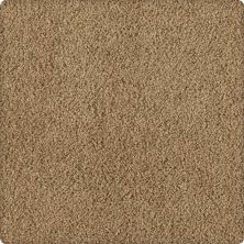 Karastan Smartstrand Silk Soft Inspiration Flaxen Air 2T07-9783