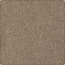 Karastan Smartstrand Silk Soft Inspiration Teak 2T07-9820