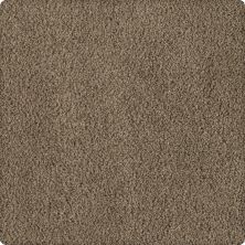 Karastan Smartstrand Silk Soft Inspiration Rustic Splendor 2T07-9839