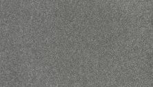 Mohawk Smartstrand Marvelous Reaction Dignified 2U51-512