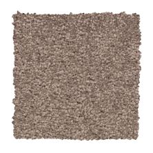 Mohawk Everstrand Vivid Instinct Mesquite Chip 2U74-838